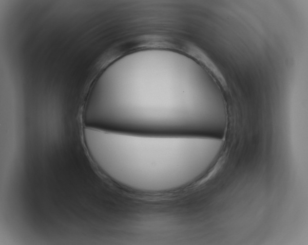 X0000102411049200808011012