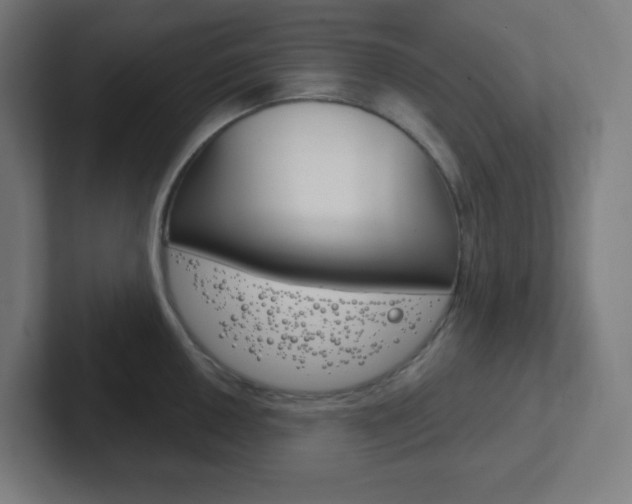 X0000102411050200808011012