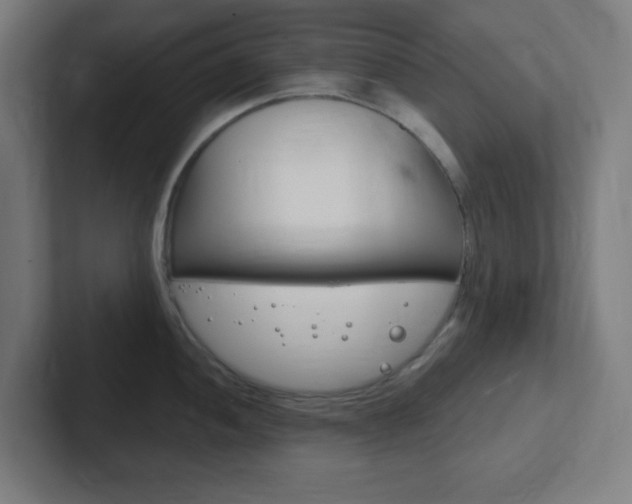 X0000102411052200808011012