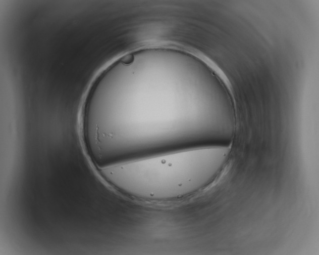 X0000102411053200808011012
