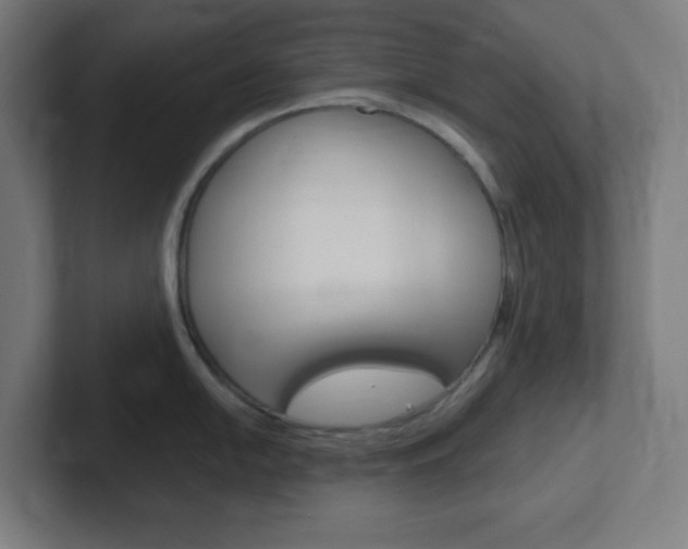X0000102411054200808011012