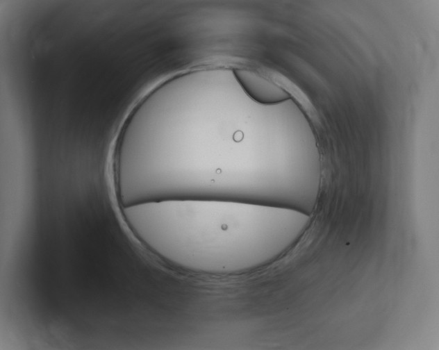 X0000102411055200808011012