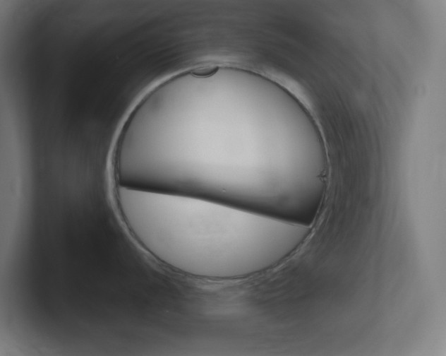 X0000102411056200808011012