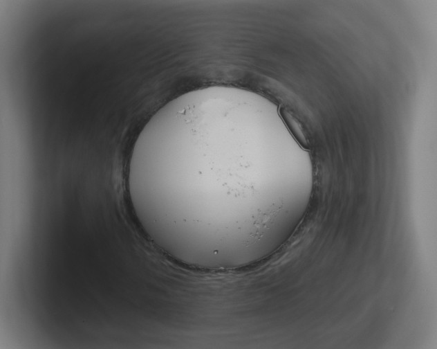 X0000102411058200808011011