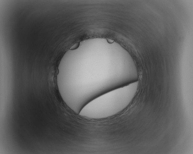 X0000102411059200808011011