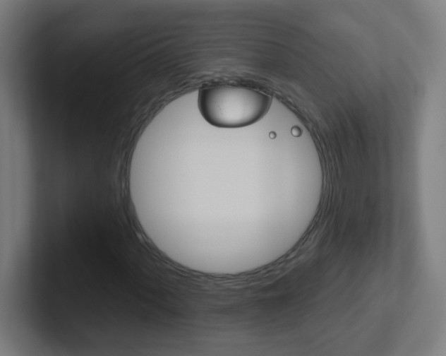 X0000102411060200808011011