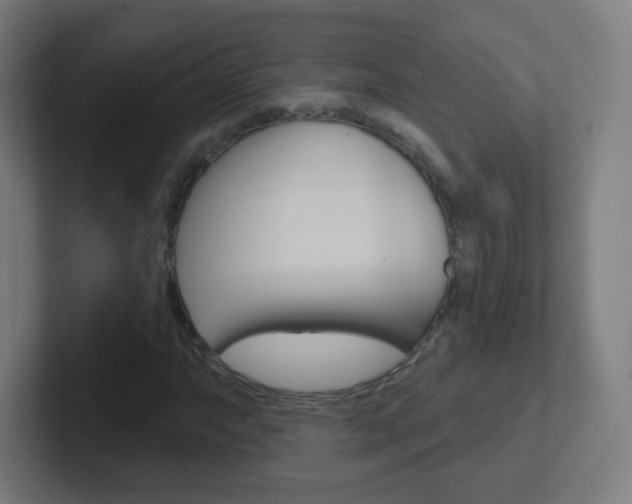 X0000102411063200808011011
