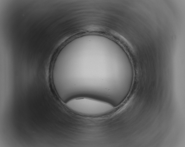 X0000102411065200808011011