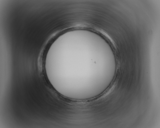 X0000102411067200808011011
