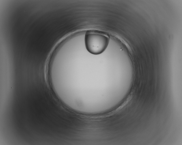 X0000102411069200808011011