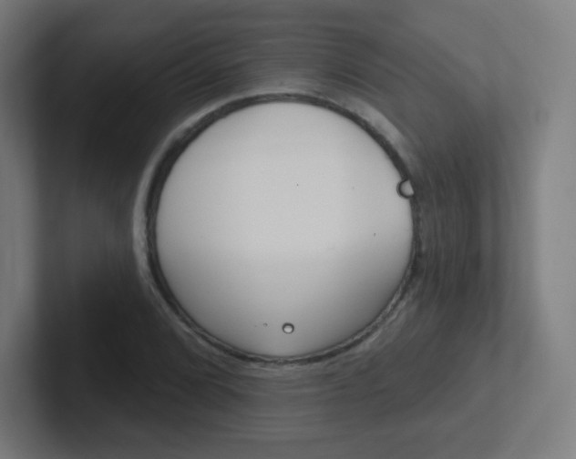 X0000102411072200808011011