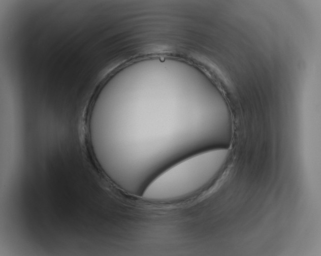 X0000102411073200808011011
