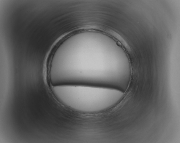 X0000102411076200808011011