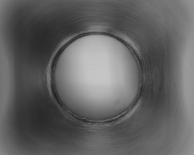 X0000102411077200808011011