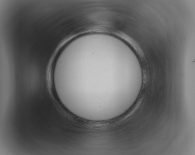 X0000102411078200808011011