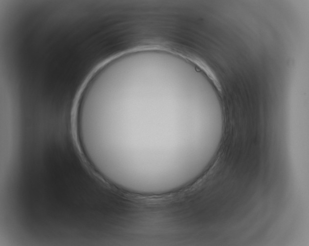 X0000102411080200808011011
