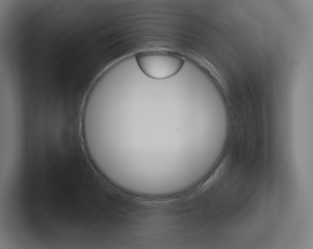 X0000102411081200808011011