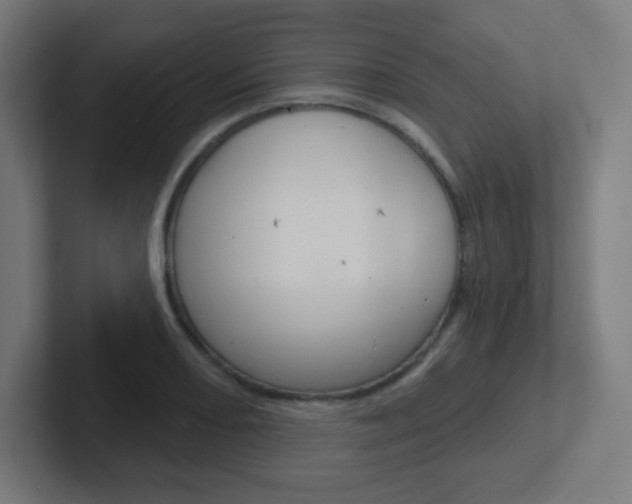 X0000102411082200808011011