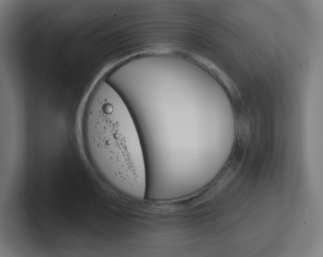 X0000102411083200808011011