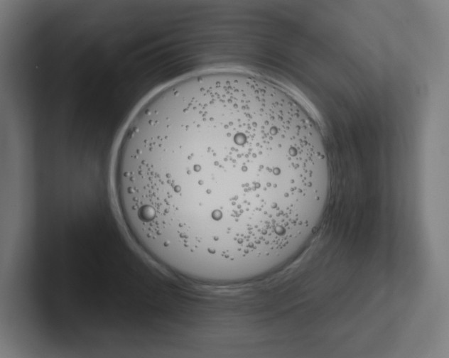 X0000102411084200808011011