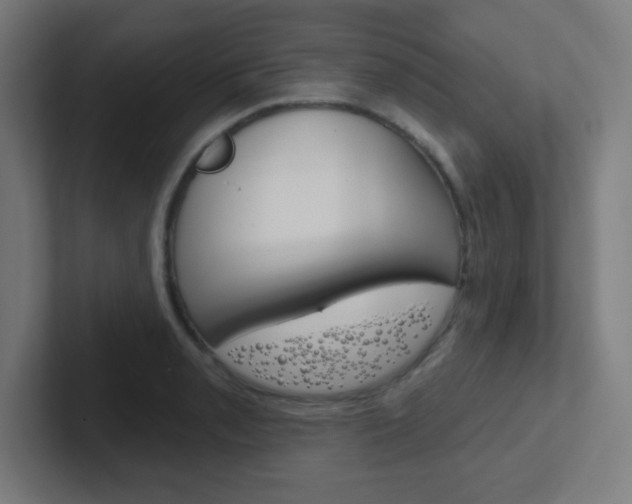 X0000102411085200808011011