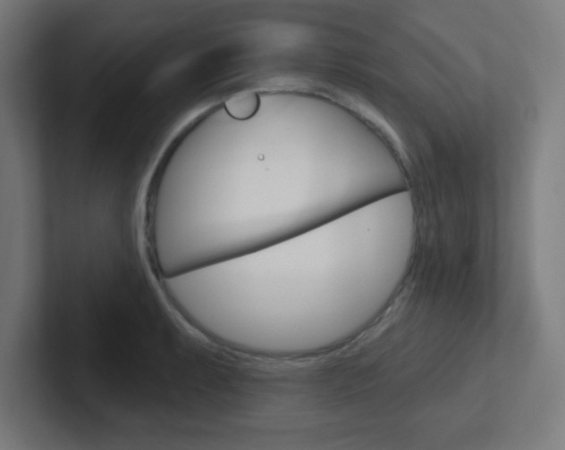 X0000102411087200808011011