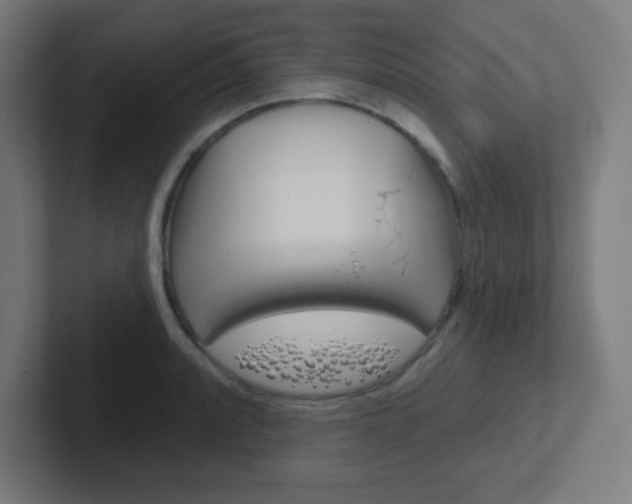 X0000102411088200808011011