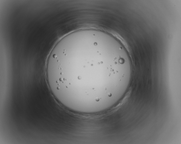 X0000102411089200808011011
