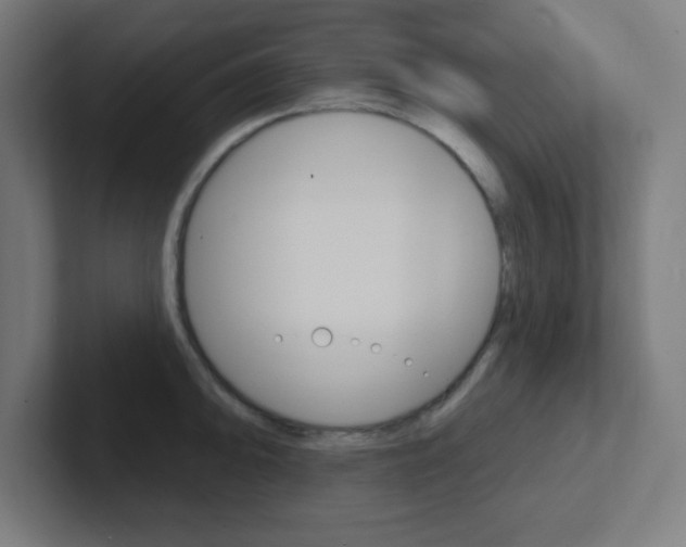 X0000102411094200808011011