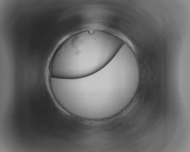 X0000102411095200808011011