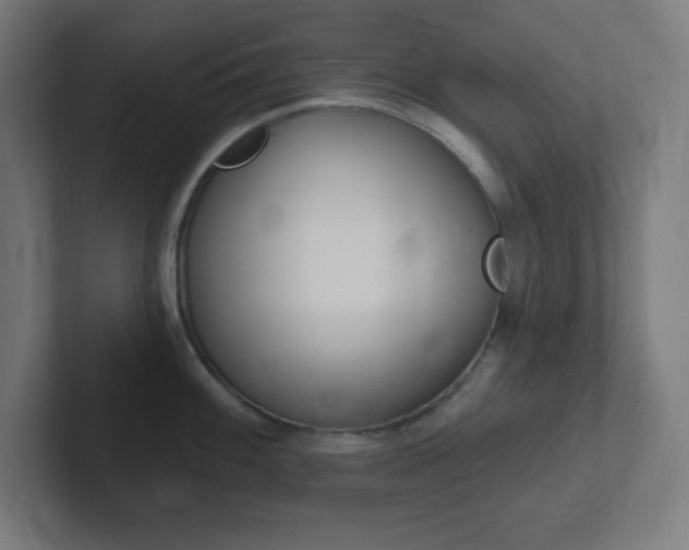 X0000102411100200808011011