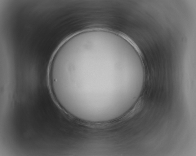 X0000102411101200808011011