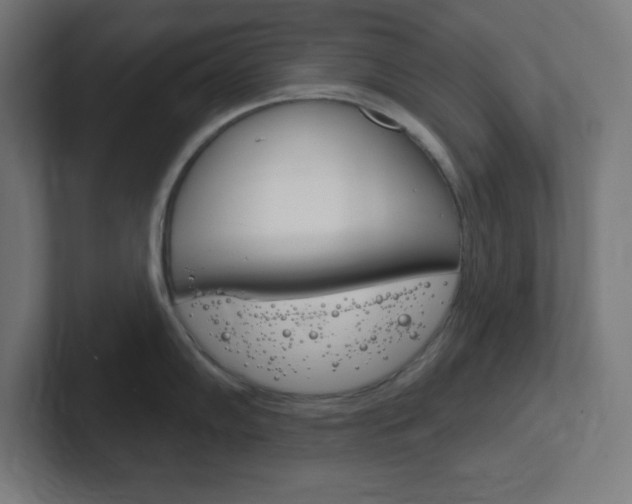 X0000102411102200808011011