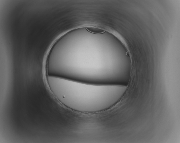 X0000102411104200808011011