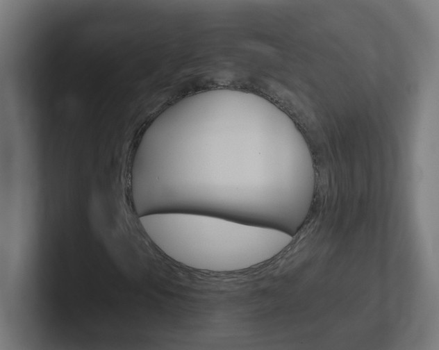 X0000102411105200808011010