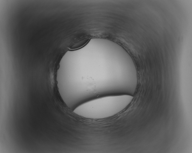 X0000102411106200808011010