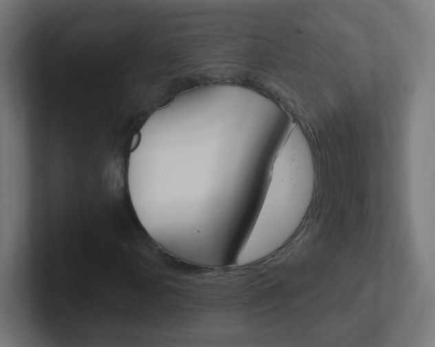 X0000102411107200808011010