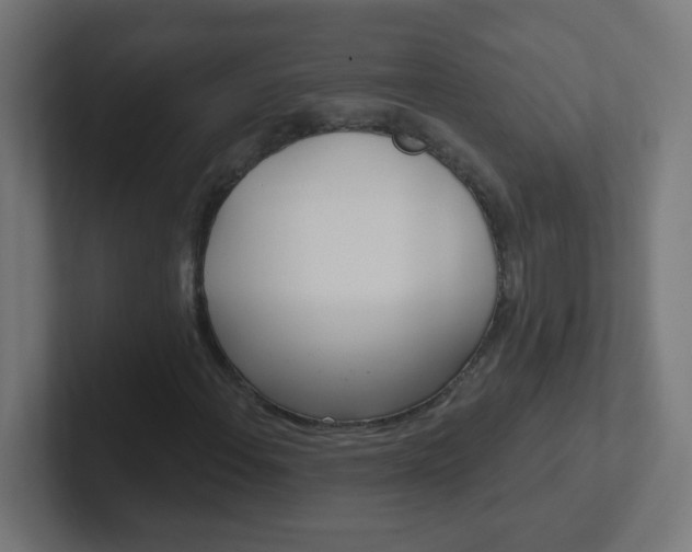 X0000102411108200808011010