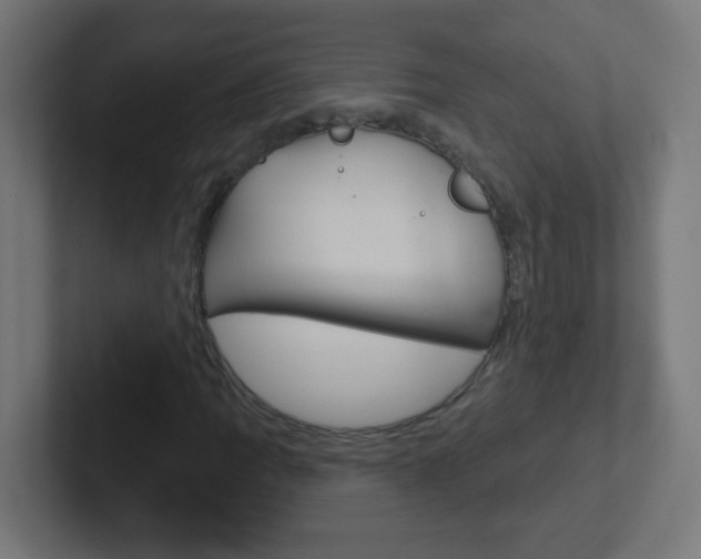 X0000102411109200808011010