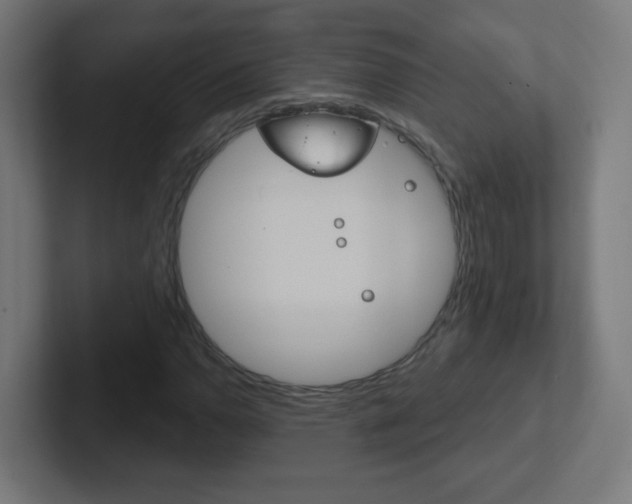 X0000102411110200808011010