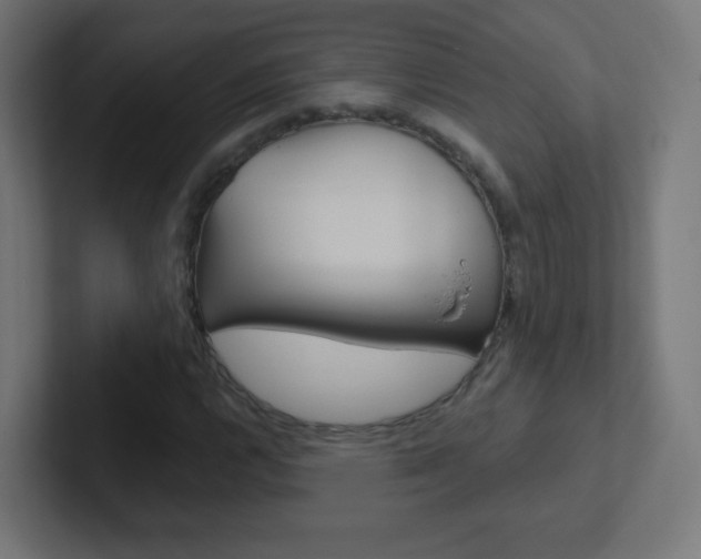 X0000102411112200808011010