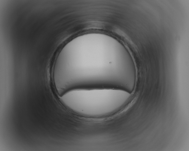 X0000102411113200808011010