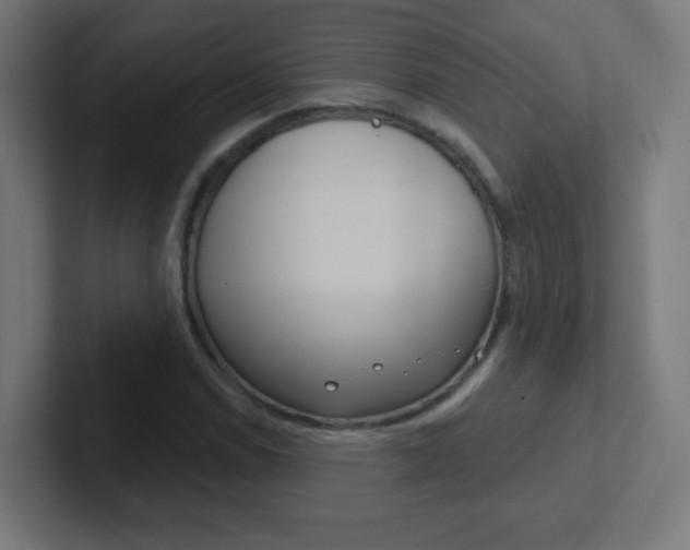 X0000102411114200808011010