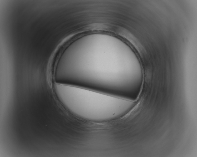 X0000102411115200808011010