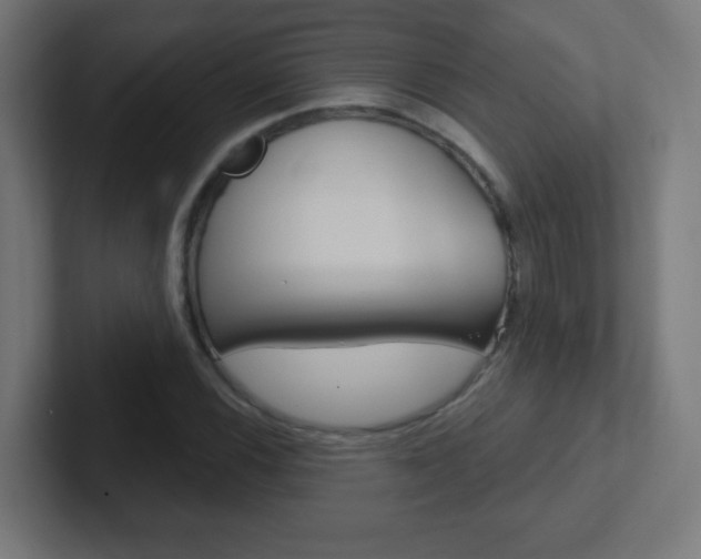 X0000102411116200808011010