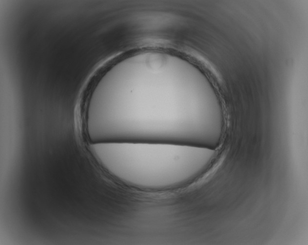 X0000102411117200808011010