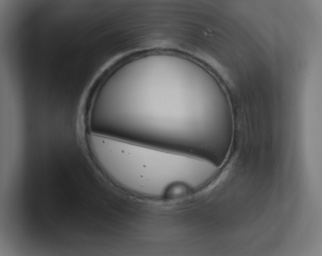 X0000102411118200808011010