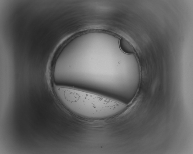 X0000102411119200808011010