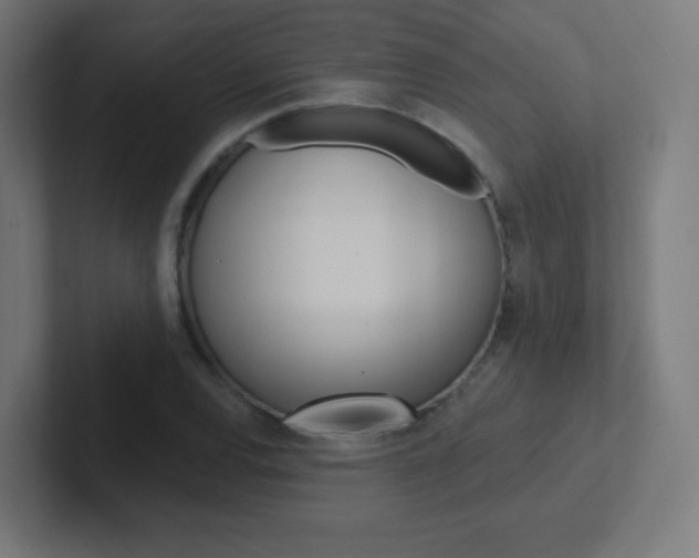X0000102411120200808011010