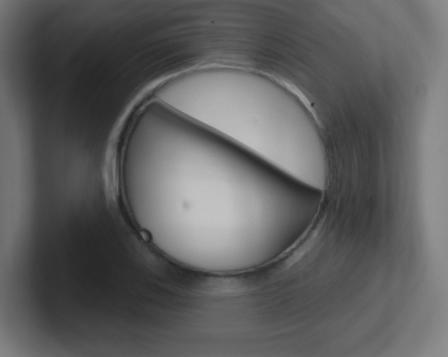 X0000102411123200808011010